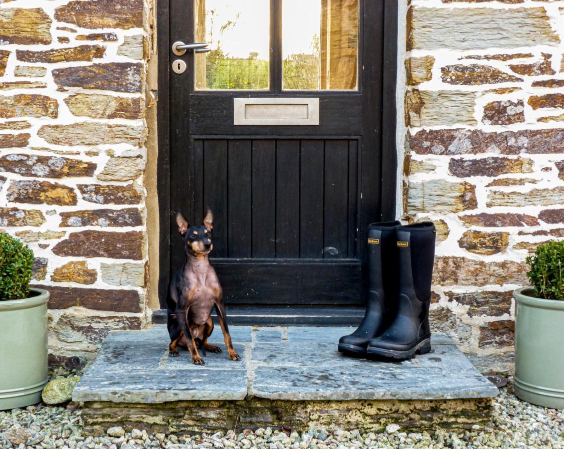 Villa Gwel An Heyl, Padstow Little Petherick Esterno foto