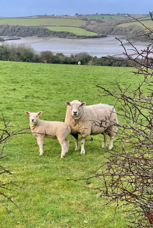 Villa Gwel An Heyl, Padstow Little Petherick Esterno foto